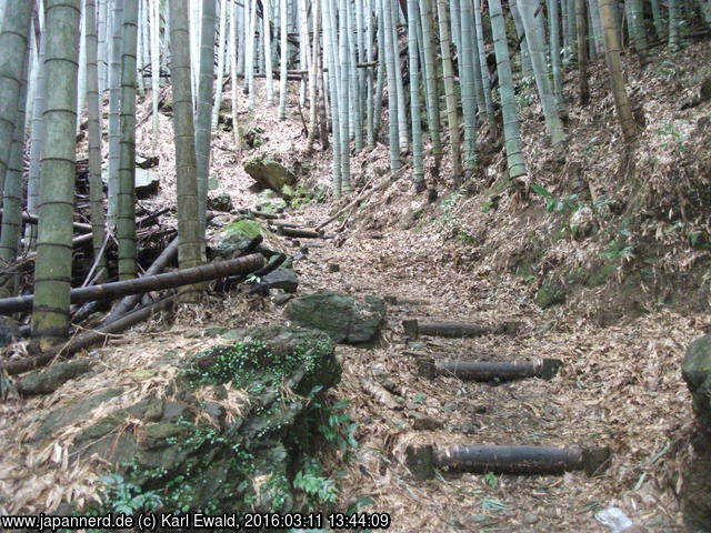Sasaguri - Kido: Weg 13 - 6 durch den Bambuswald
