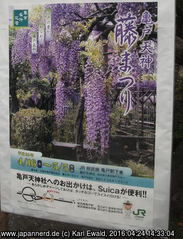 Tokyo, Kameido: Werbeplakat für das Wisteria-Matsuri
