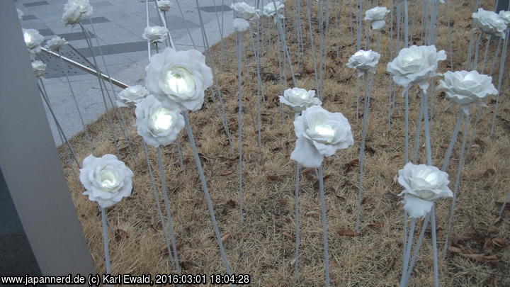 Seoul, Dongdaemun Design Plaza, LED-Rosen
