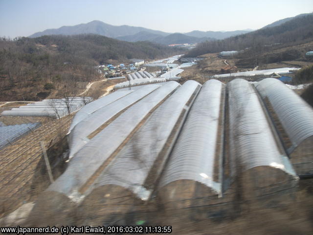 Korea: Folientunnel prägen das Bild der Agrarflächen
