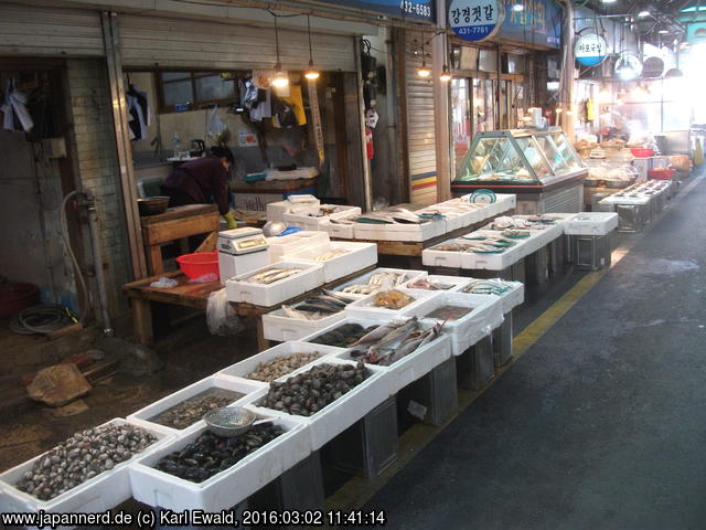 Korea, Gimcheon, Markt: Fischverkäufer

