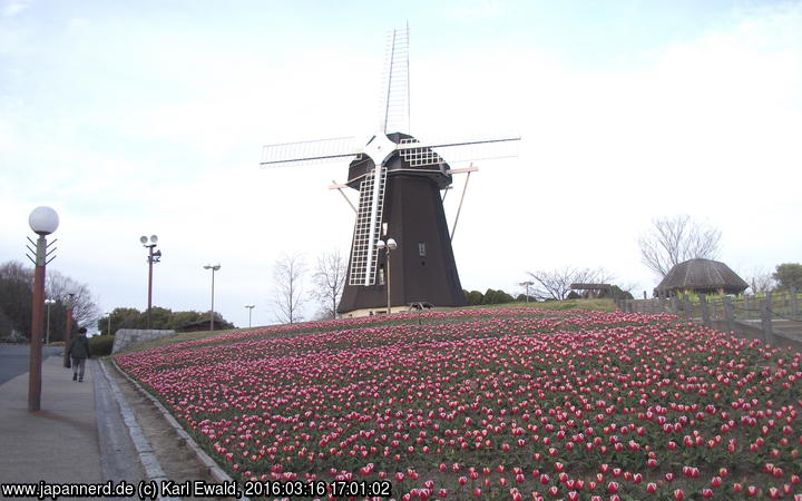 Osaka, IGA-Gelände: Tulpen und Windmühle
