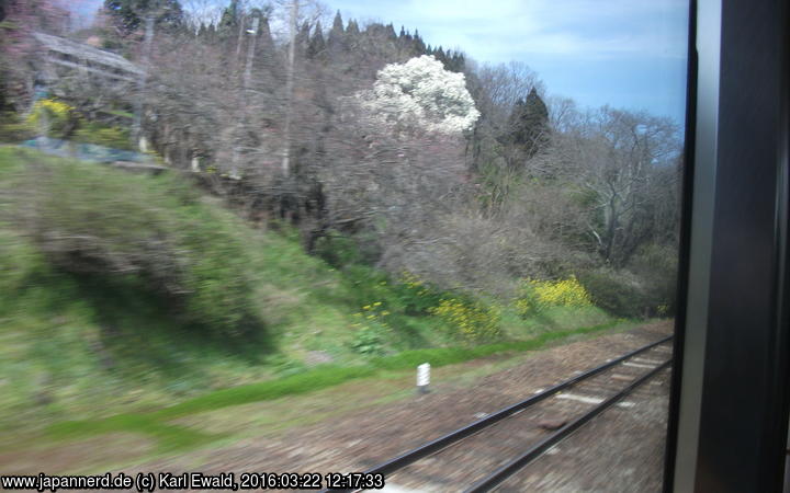 Trans-Kyushu Limited Express: Blick aus dem Fenster hinter Nakahanda
