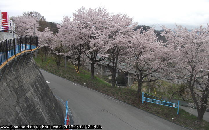 Yamanashi Prefecture Maglev Exhibition Center: Kirschbäume säumen die Zufahrt
