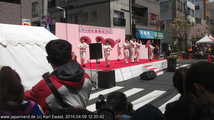 Tokyo Asakusa, Ichiyo Sakura-Matsuri: Showgruppe
