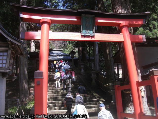 Takayama, Hie Jinja: Torii
