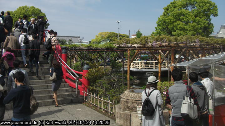 Tokyo, Kameido: die vordere Brücke am Kameido-Tenjin-Schrein
