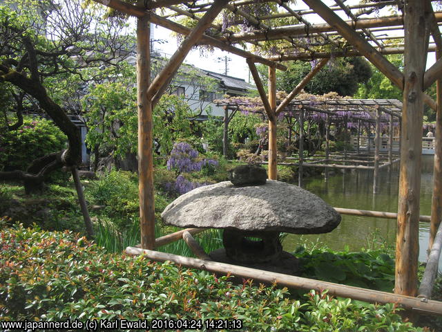 Tokyo, Kameido: Steinlaterne, Teich und Wisteria-Gestell am Kameido-Tenjin-Schrein
