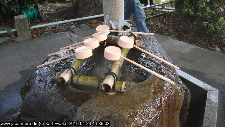 Tokyo, Kameido: Reinigungsbrunnen am Kameido-Tenjin-Schrein mit Schildkröte als Wasserspeier
