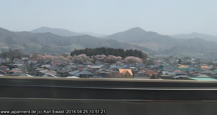 Hügel mit Kirschblütengürtel, etwas südlich Morioka
