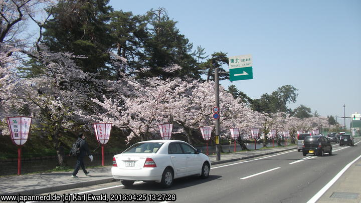 Hirosaki: Kirschblütenallee vor dem Burgpark
