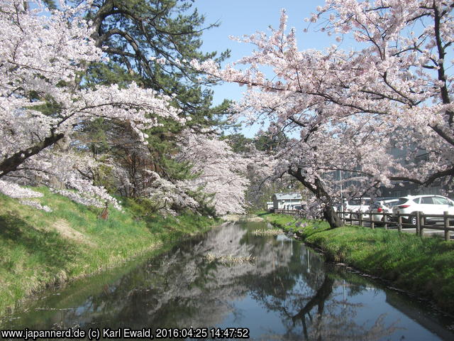 Hirosaki Park: Spiegelung in einem Graben
