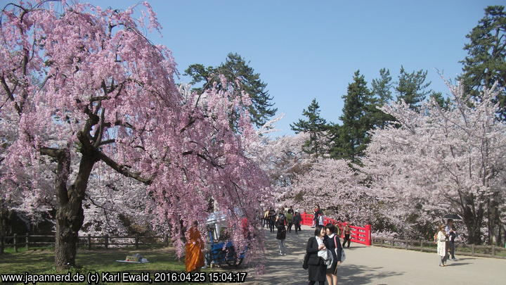 Hirosaki Park: Blick von Süden auf die Sugi-no-Ohashi Brücke
