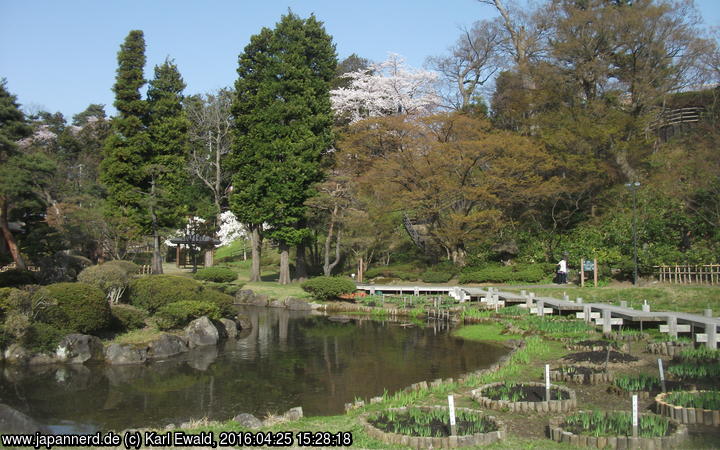 Hirosaki, Fujita-Garten: Sumpf mit Zickzackbrücke, See mit Insel
