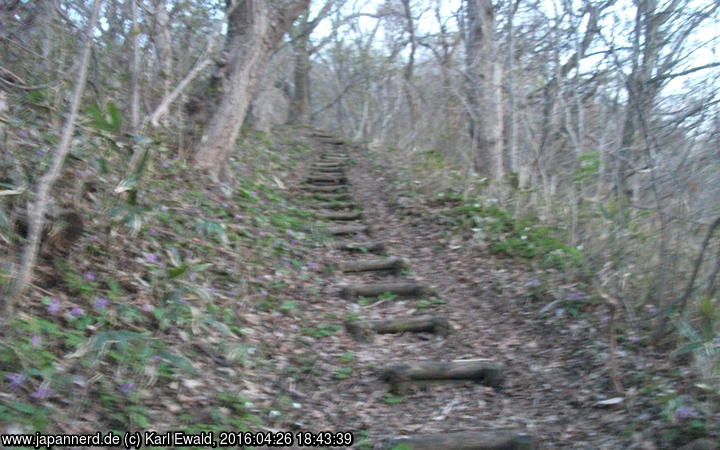 Hakodate, Kannon Course zum Berggipfel
