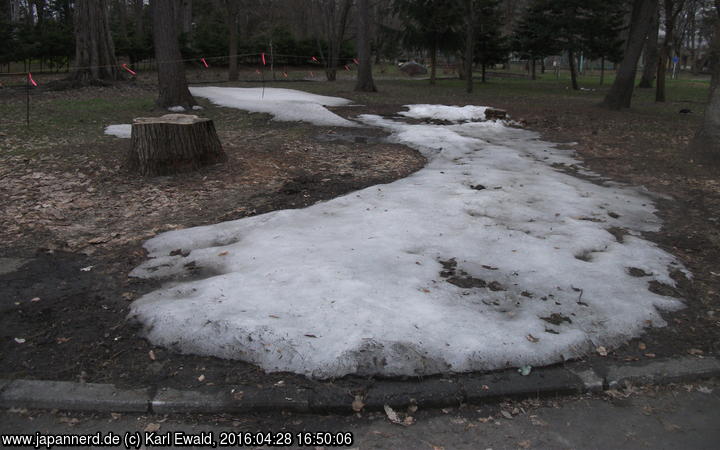 Asahikawa, Tokiwa Park: Schneerest
