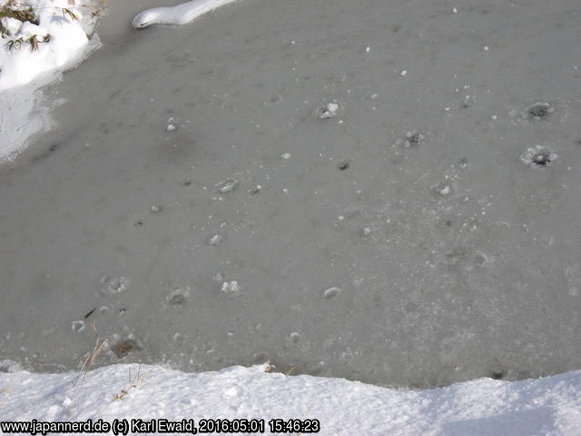 Shiretoko Goko: die Einschläge von Schneebällen zeigen, dass dies kein Eis, sondern schwimmender Schneematsch ist.

